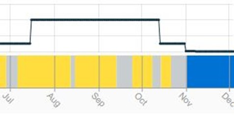Toyo Smelter activity